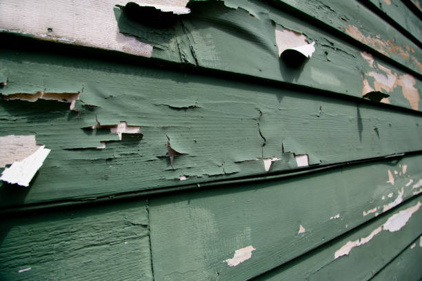 Best Siding Painting and Refinishing  in Fox Island, WA